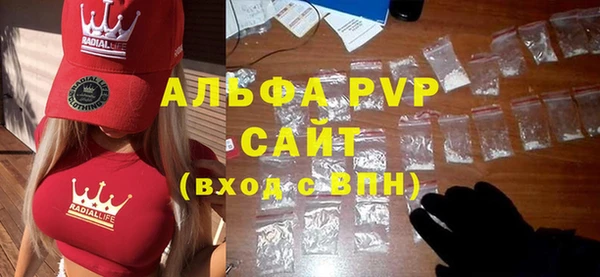 прущие грибы Няндома