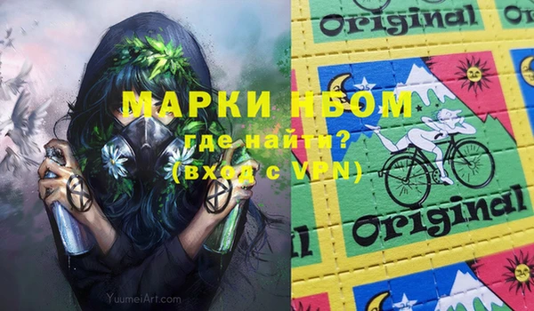 прущие грибы Няндома