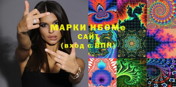 прущие грибы Няндома