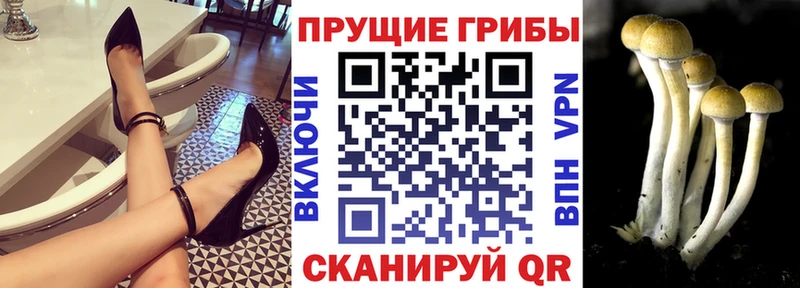 Псилоцибиновые грибы ЛСД  МЕГА зеркало  Инза  наркошоп 